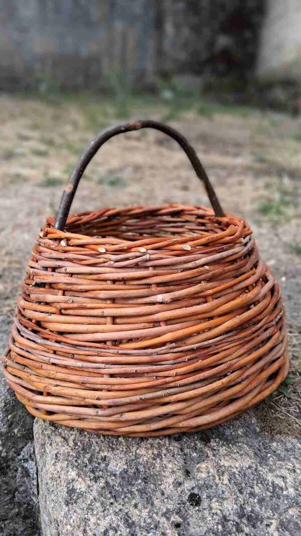 Cesta Arnoia